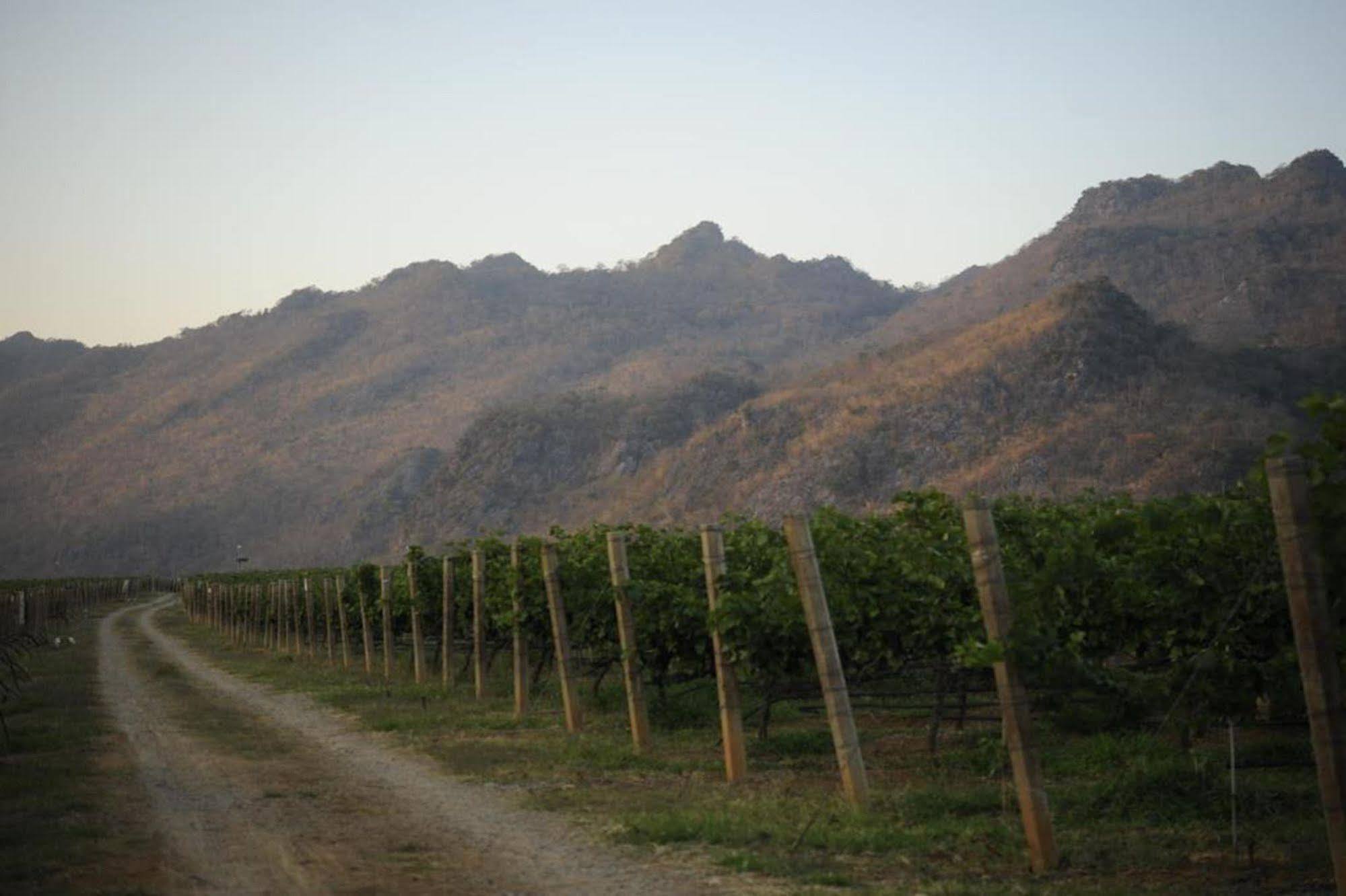 Granmonte Wine Cottage Phayayen Buitenkant foto